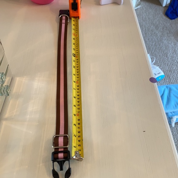 dog collar - Picture 4 of 5